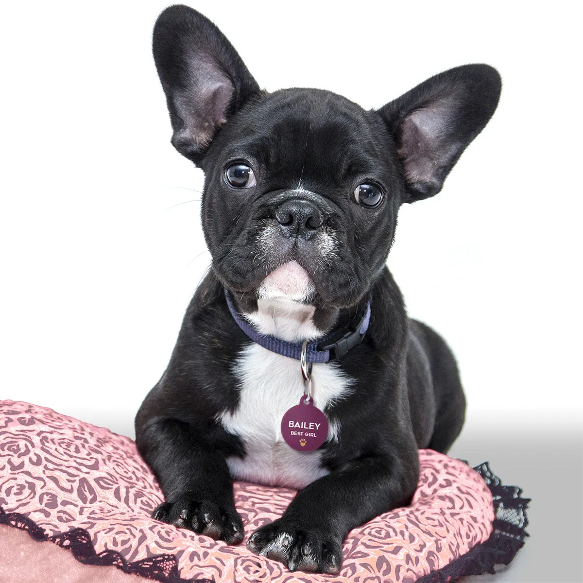 Personalised Wedding Pet Tag
