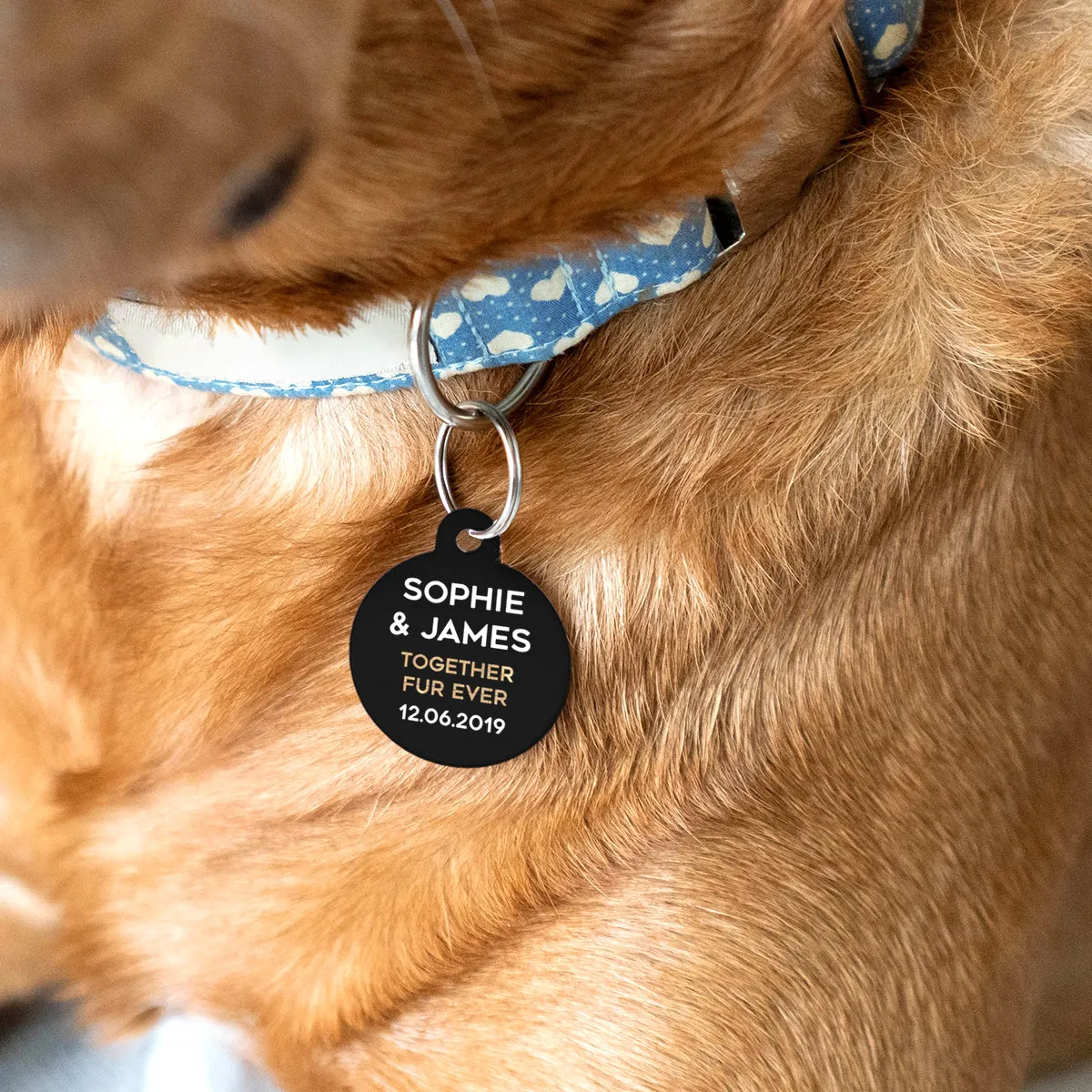 Personalised Wedding Pet Tag
