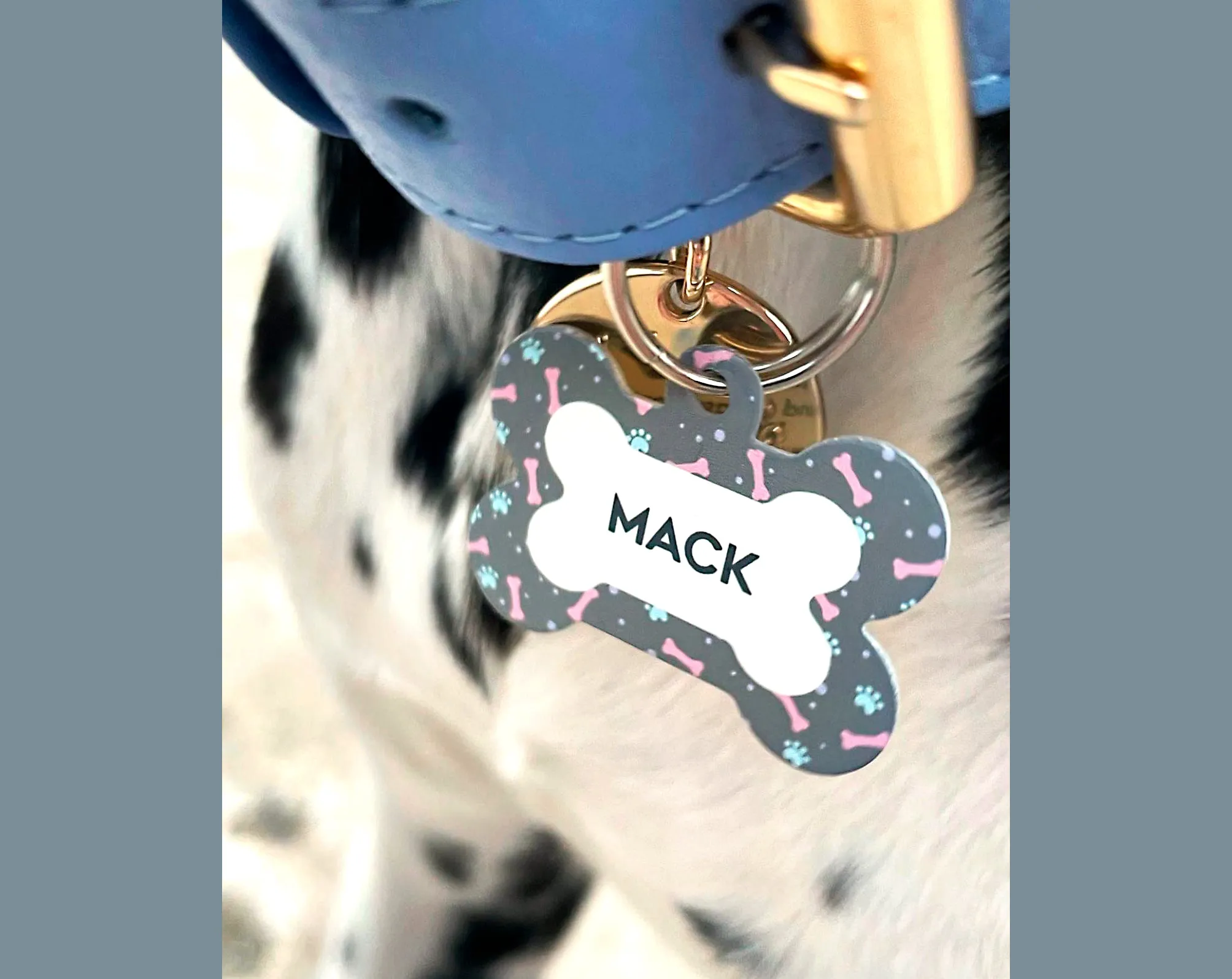 Personalised Wedding Pet Tag